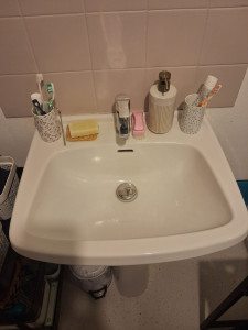 Photo de galerie - Nettoyage complet lavabo salle de bain 
