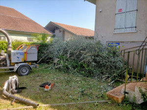 Photo de galerie - Broyage ,évacuation. 