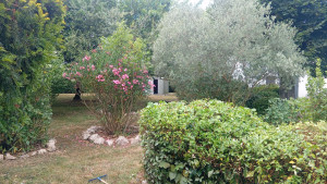 Photo de galerie - Rafraîchissement 