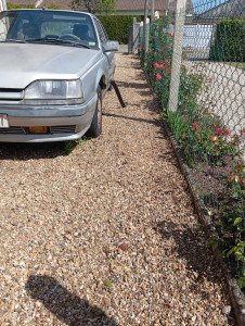 Photo de galerie - Matinée désherbage tontes et débroussaillage après 