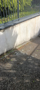 Photo de galerie - Maçonnerie