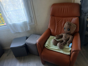 Photo de galerie - Nettoyage  le cuire 