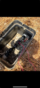 Photo de galerie - Paysagiste - Aménagement du jardin