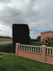 Photo de galerie - Après 