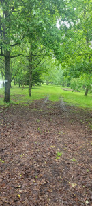 Photo de galerie - Jardinier