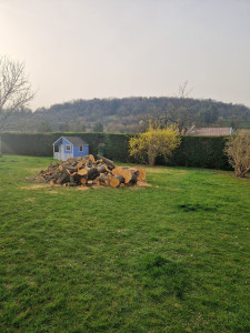 Photo de galerie - Elagage et coupe d'arbres