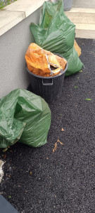 Photo de galerie - Nettoyage de jardin 