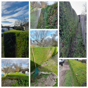 Photo de galerie - Voici mon travail effectué en 3h de temps,  j évacue tout les déchets. 