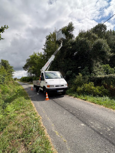 Photo de galerie - Elagage et coupe d'arbres