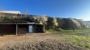 Photo de galerie - Taille de haies et d'arbustes