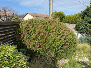 Photo de galerie - Après