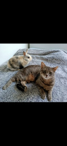 Photo de galerie - Bonne entente