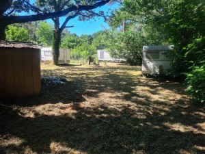 Photo de galerie - Tonte de pelouse - Débroussaillage