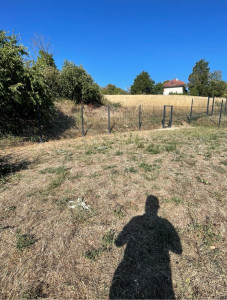 Photo de galerie - Repose de grillage rigide + portillon 