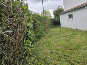 Photo de galerie - Tonte pelouse 