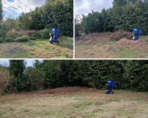 Photo de galerie - Utilisation d'un broyeur : 
-pas d'évacuation 
-broyat bon pour le jardin 
