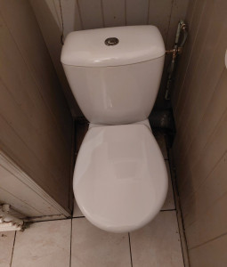 Photo de galerie - Remplacement WC