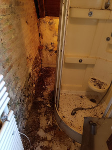 Photo de galerie - Ménage