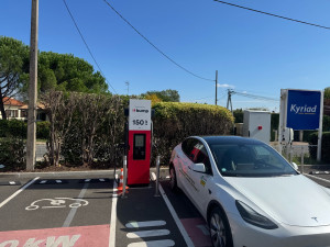 Photo de galerie - Après ( taille ) déplacement à libourne 33500