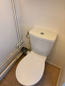 Photo de galerie - Remplacement d'un WC
