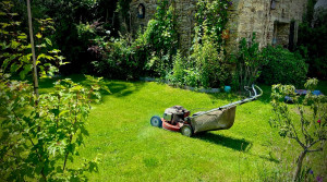 Photo de galerie - Tonte de vos jardins