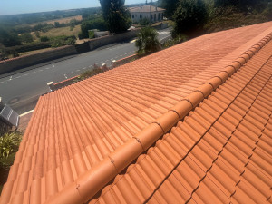 Photo de galerie - Toiture après nettoyage et mise en peinture