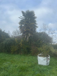 Photo de galerie - Intervention nettoyage et débroussaillage 79190