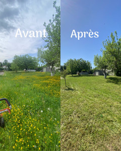 Photo de galerie - Première tonte 