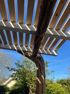 Photo de galerie - Pergola châtaignier/ mélèze 