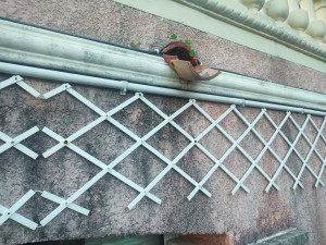 Photo de galerie - Bricolage et multi services