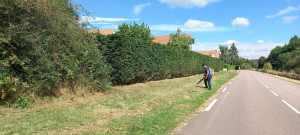 Photo de galerie - Taille de haies et d'arbustes