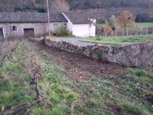 Photo de galerie - Arrachage vignes