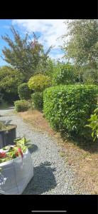 Photo de galerie - Entretien des massif 