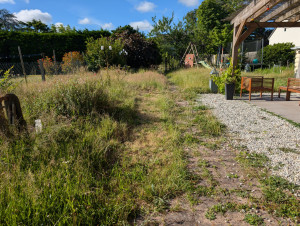 Photo de galerie - Tonte de pelouse - Débroussaillage