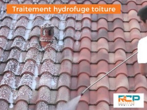 Photo de galerie - Traitement hydrofuge sur toiture