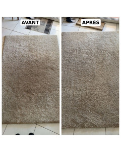 Photo de galerie - Shampouinage tapis