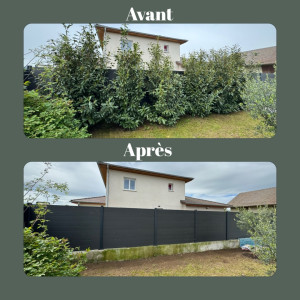 Photo de galerie - Elagage et coupe d'arbres