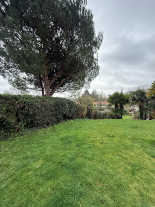 Photo de galerie - Taille de haies au naturel 