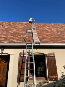 Photo de galerie - Couverture - Toiture
