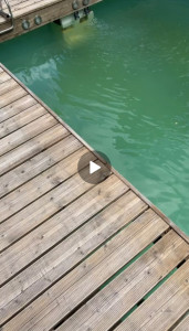 Photo de galerie - Entretien piscine