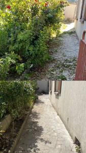 Photo de galerie - Entretien et aménagement d’un allée 