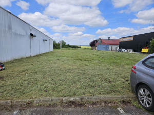 Photo de galerie - Débroussaillage et tonte à basic-fit