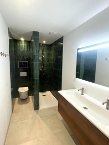 Photo de galerie - Création complète Salle de bain (partie 3)