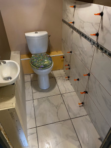 Photo de galerie - Rénovation de toilettes 