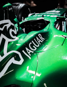 Photo de galerie - Photographe