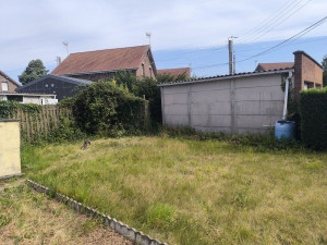Photo de galerie - Nettoyage et tonte (avant)