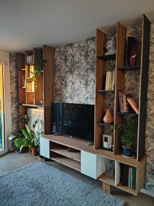 Photo de galerie - Création meuble Tv sur mesure avec bibliothèque.
