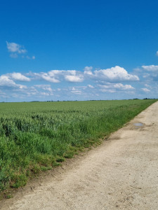 Photo de galerie - Livraison de courses
