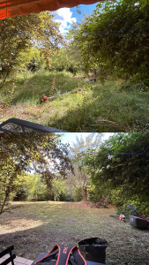 Photo de galerie - Remise en état de ce jardin 