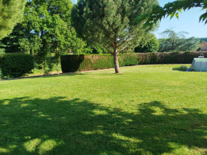 Photo de galerie - Tonte pelouse 